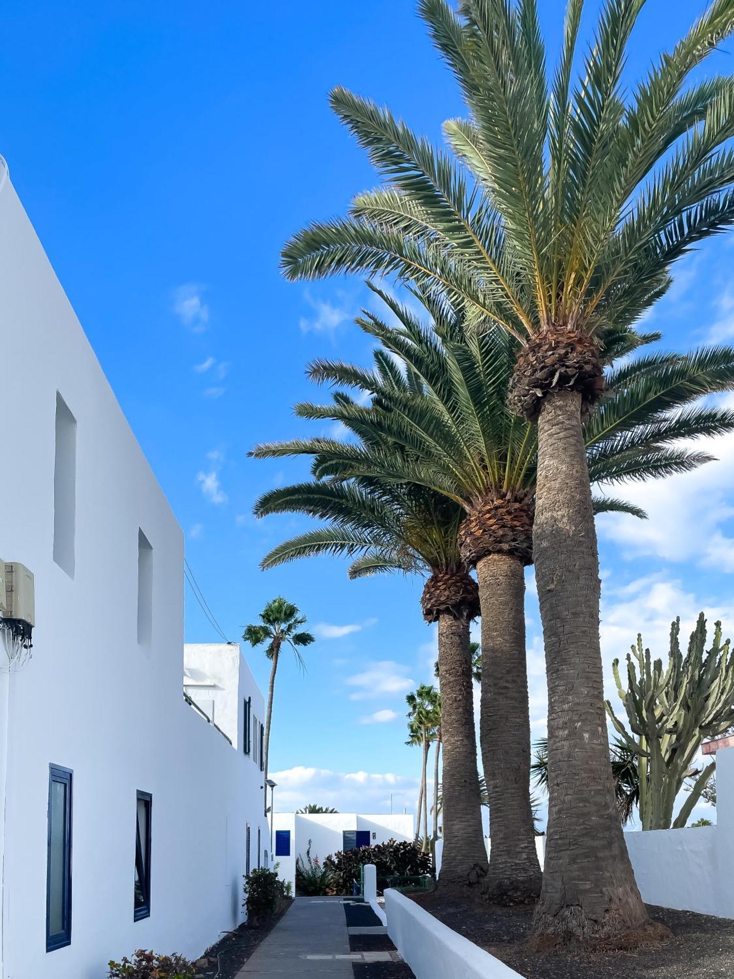Barqueros Beach By Best Holidays Fuerteventura Corralejo Eksteriør billede